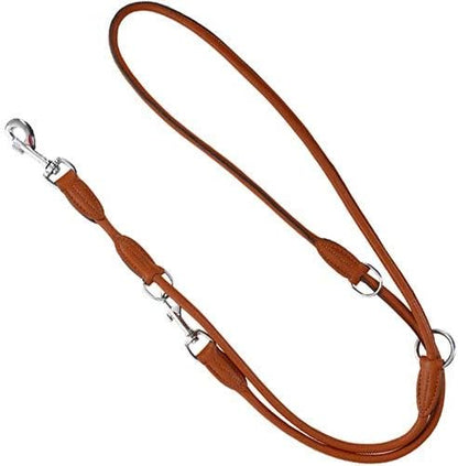 leather dog lead
