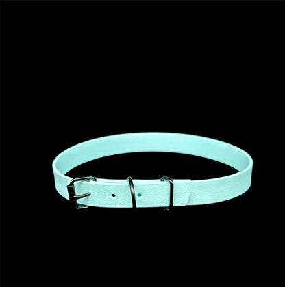 biothane dog collar