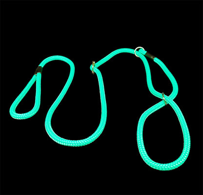 all in one head collar
