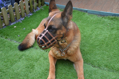 leather dog muzzle
