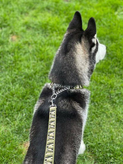 camo dog lead