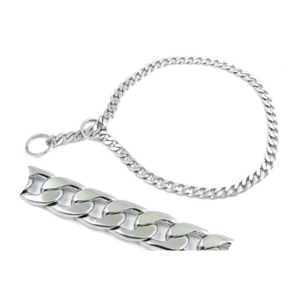 metal dog collar