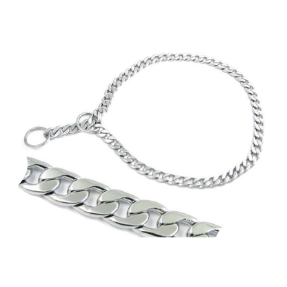 metal dog collar