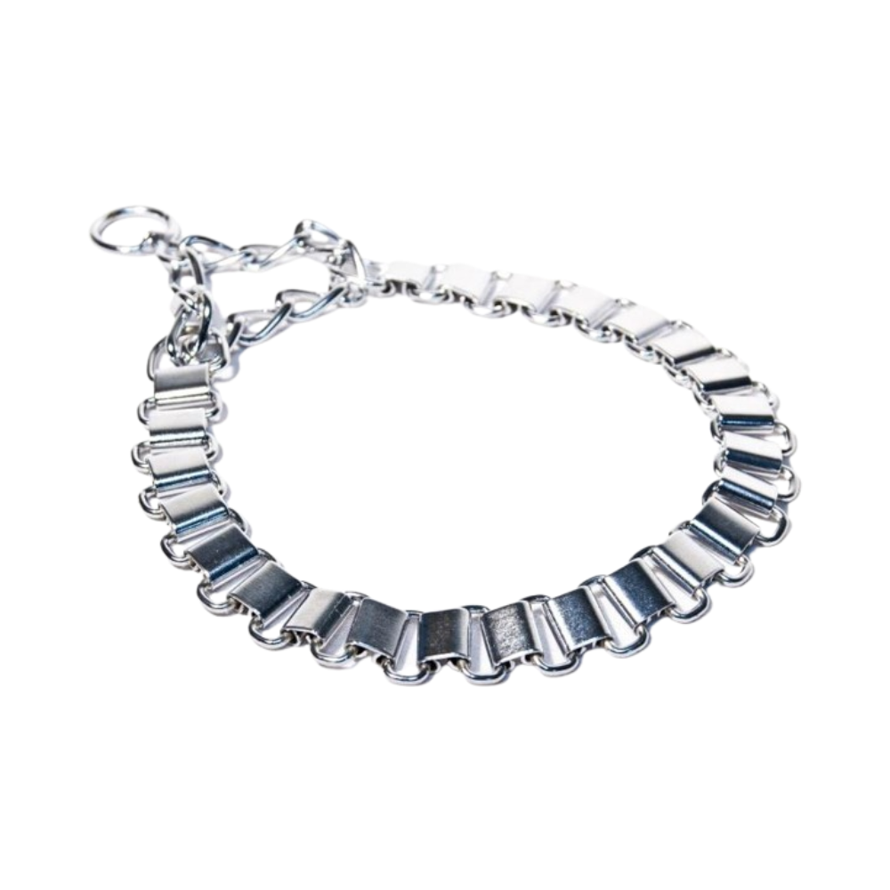 metal dog collar