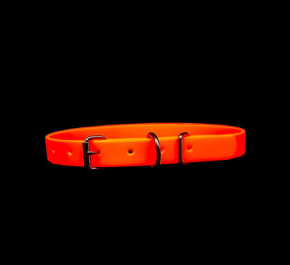 biothane dog collar