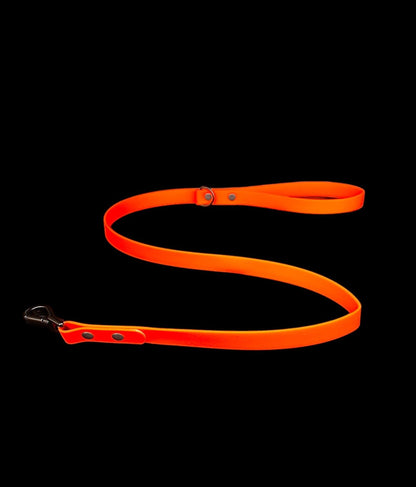 biothane dog lead