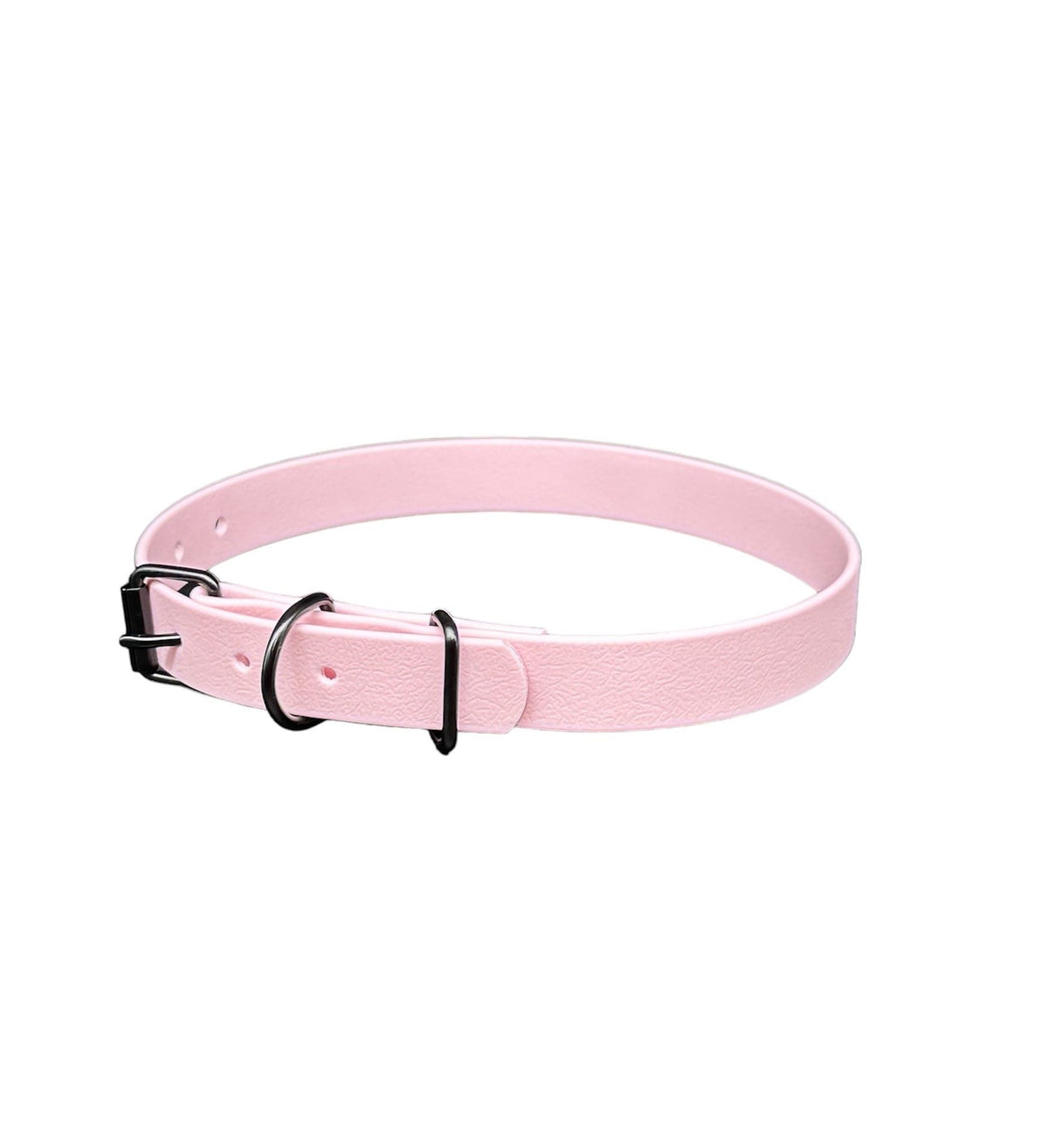 biothane dog collar