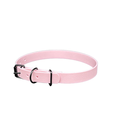 biothane dog collar