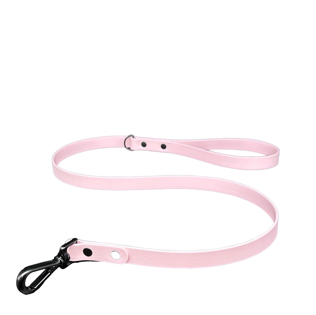 biothane dog lead