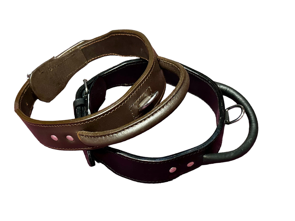 leather dog collar