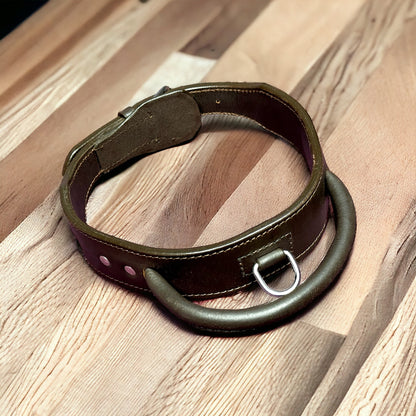 leather dog collar