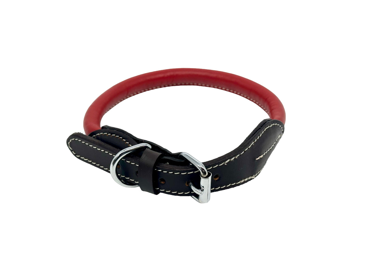 leather dog collar
