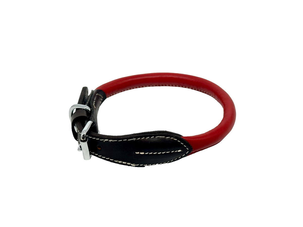 leather dog collar