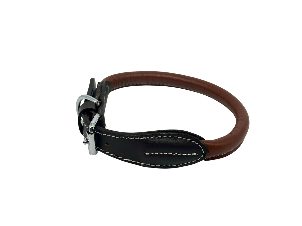 leather dog collar