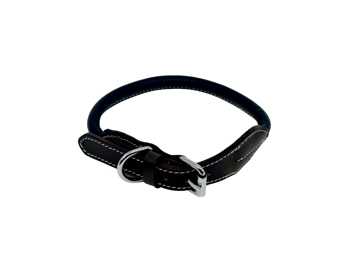 leather dog collar