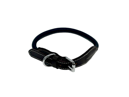 leather dog collar