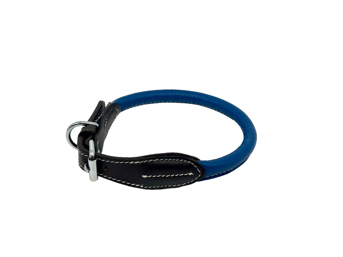 leather dog collar