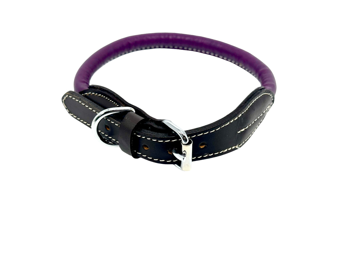 leather dog collar