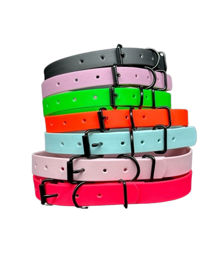 biothane dog collar