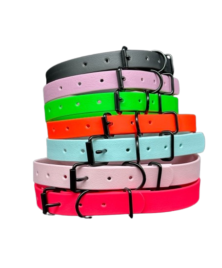 biothane dog collar