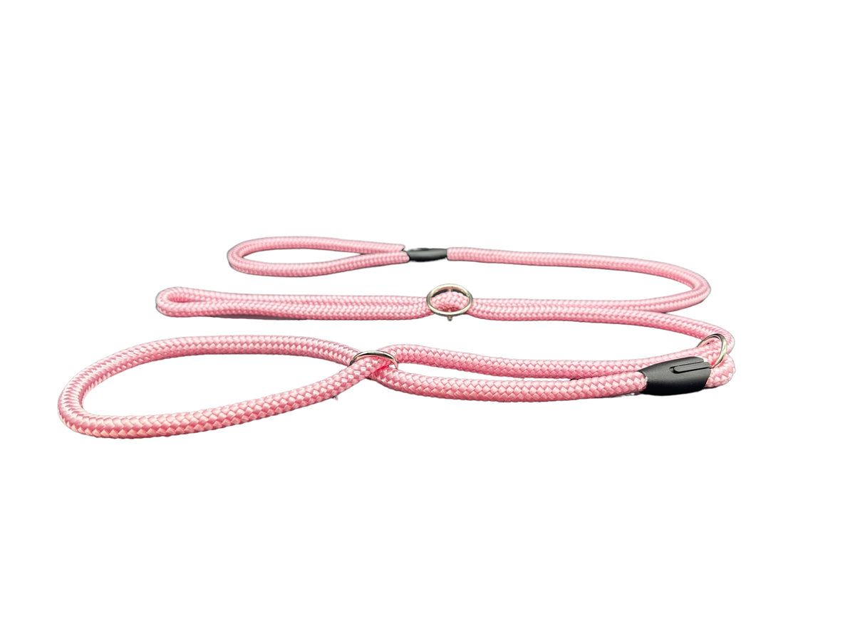 all in one dog lead