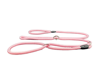 all in one dog lead