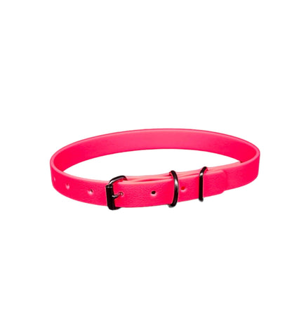 biothane dog collar