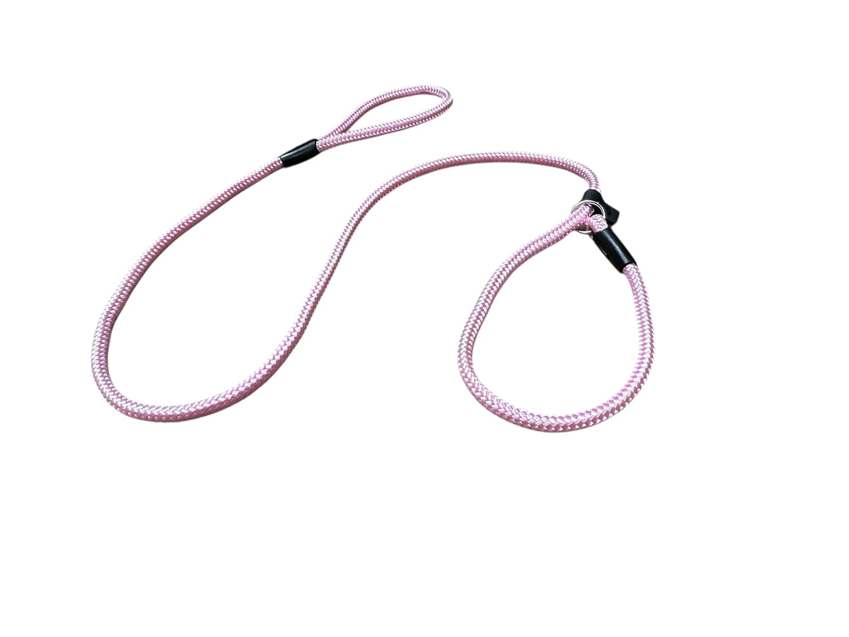 Stabile Nylon-Hundeleine | Welpen- & Hunde-Trainingsleine | Schlupf-Leine aus Seil