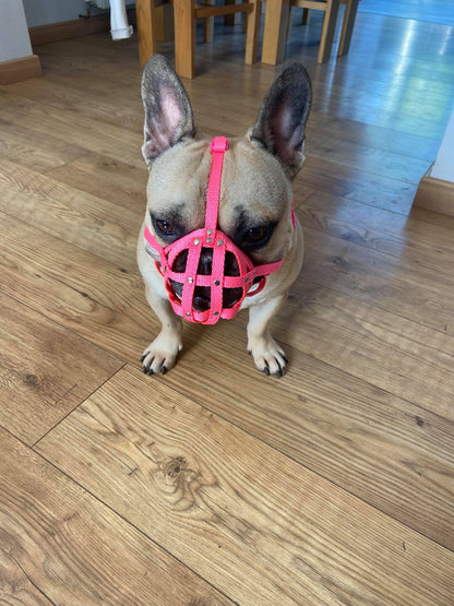 nylon dog muzzle