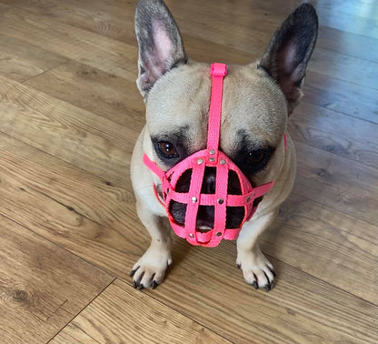 nylon dog muzzle