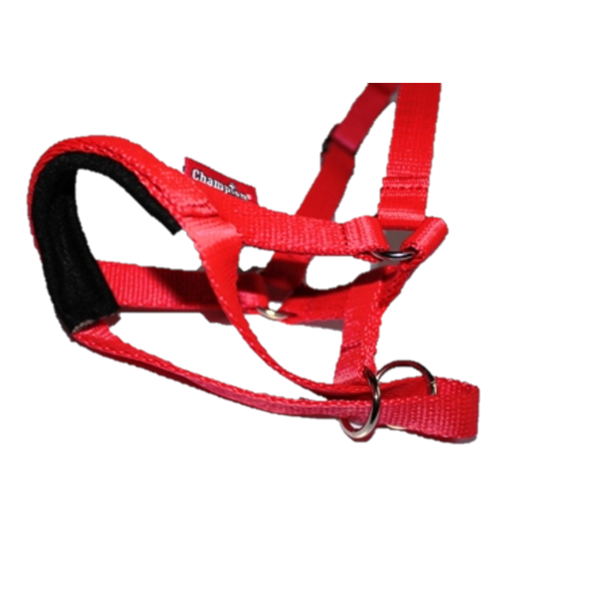 all in one head collar