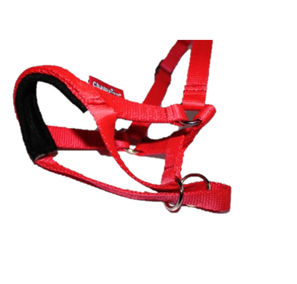 all in one head collar