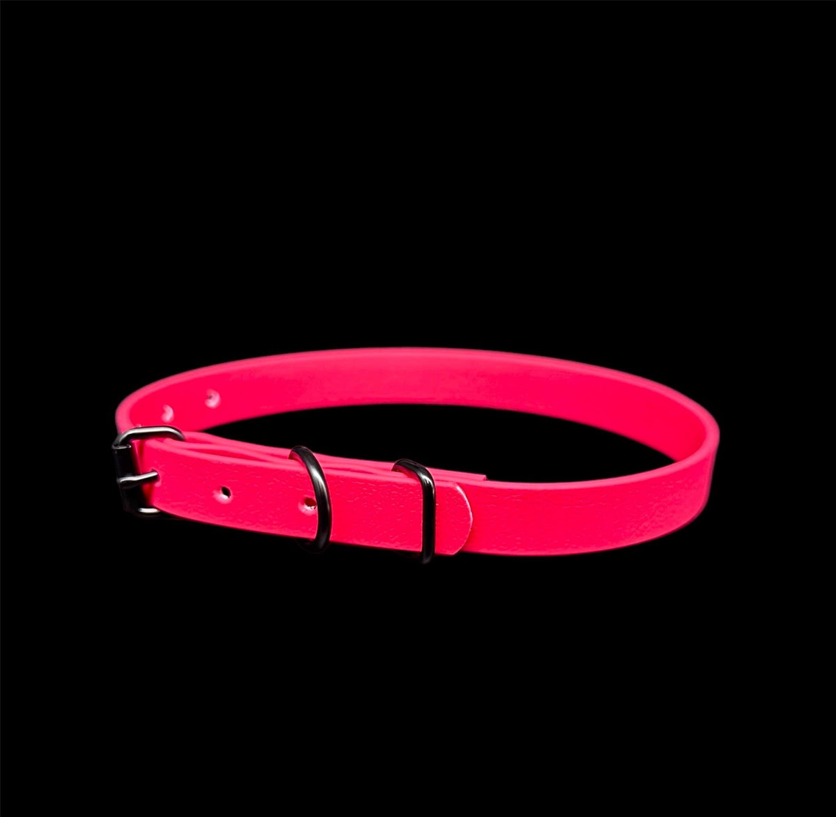 biothane dog collar