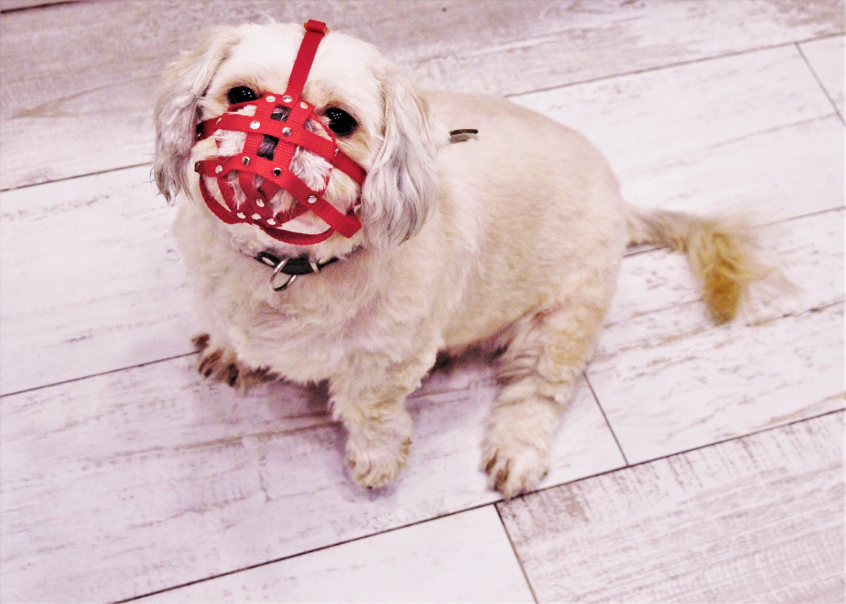 nylon dog muzzle