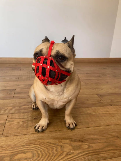 nylon dog muzzle