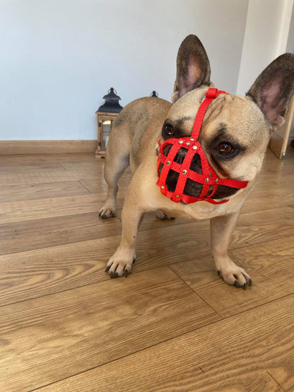 nylon dog muzzle