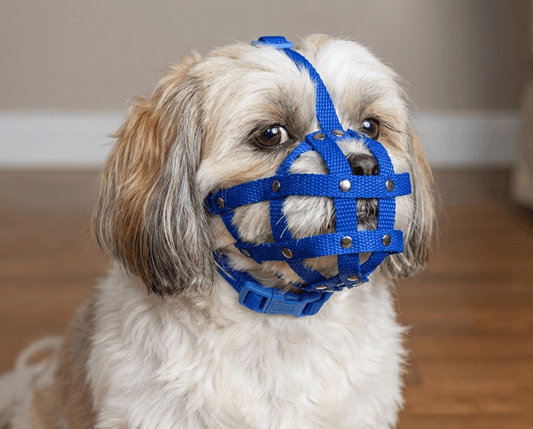Nylon-Maulkorb für Shih Tzus, Möpse und andere Hunde mit kurzer Schnauze