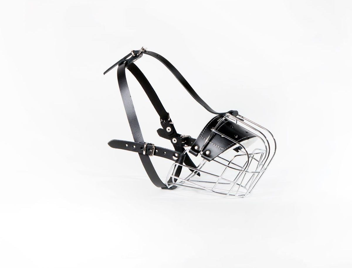 metal dog muzzle