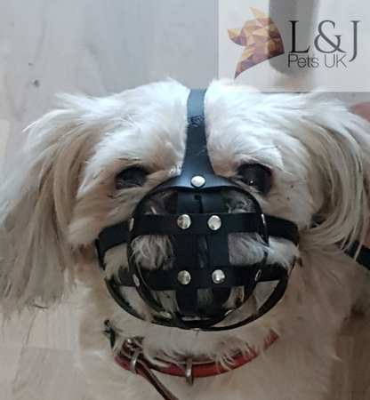 leather dog muzzle