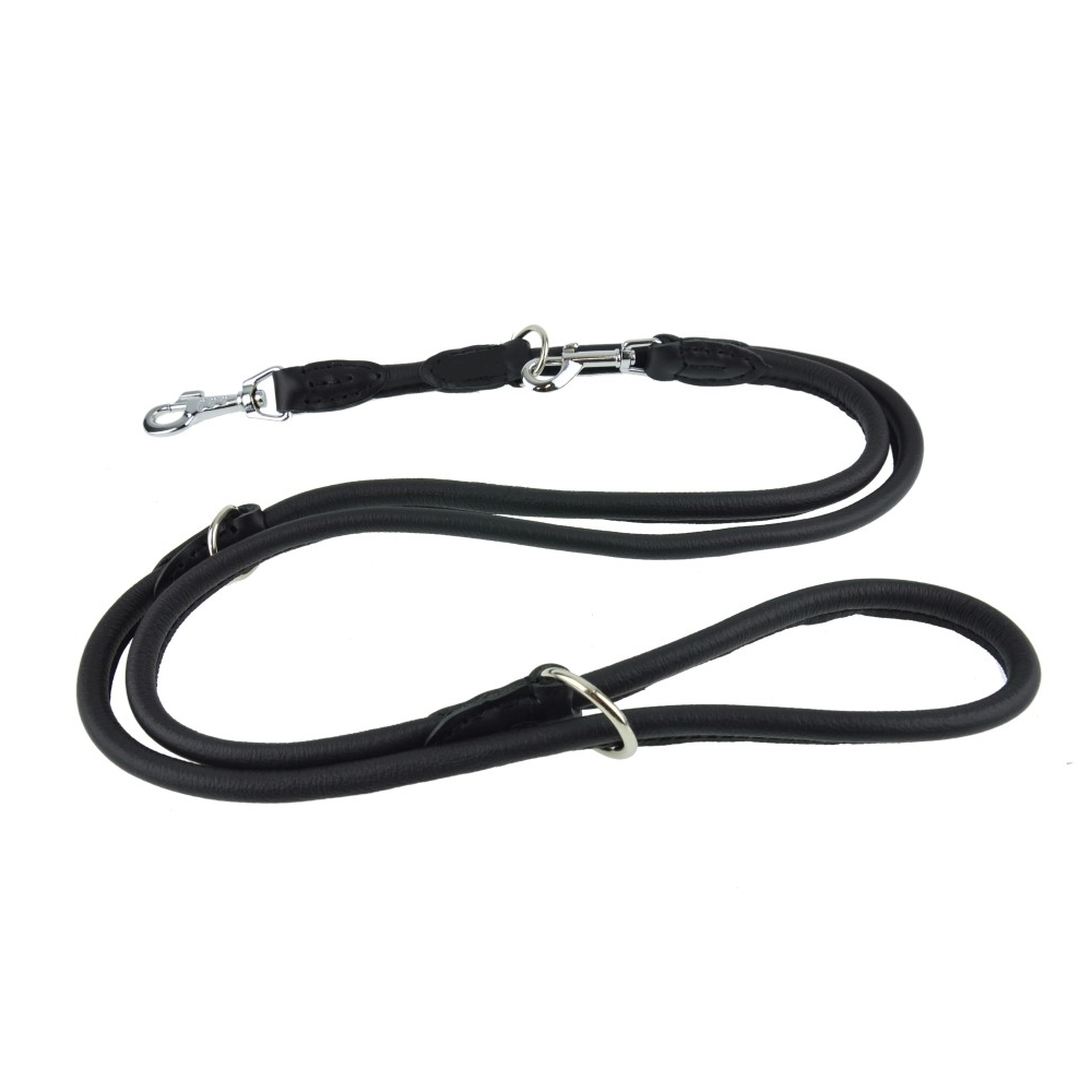 adjustable dog lead