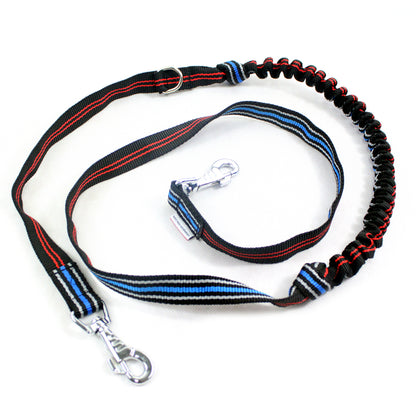 dog lead