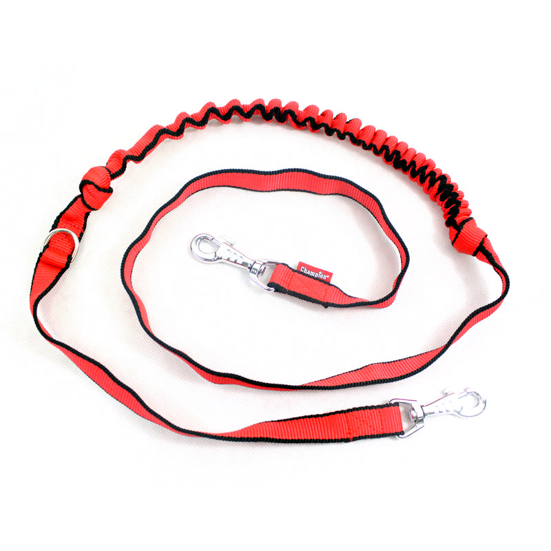 dog lead