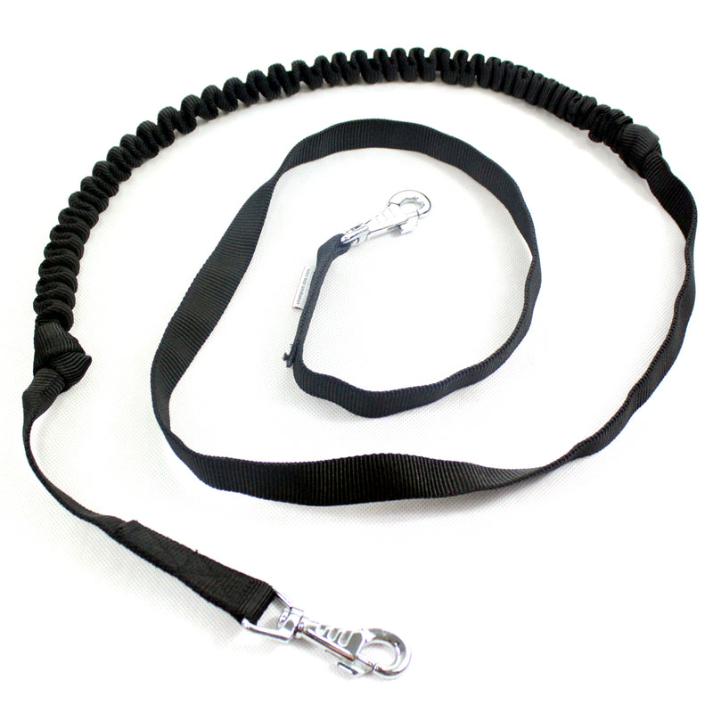 dog lead
