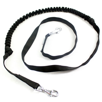 dog lead