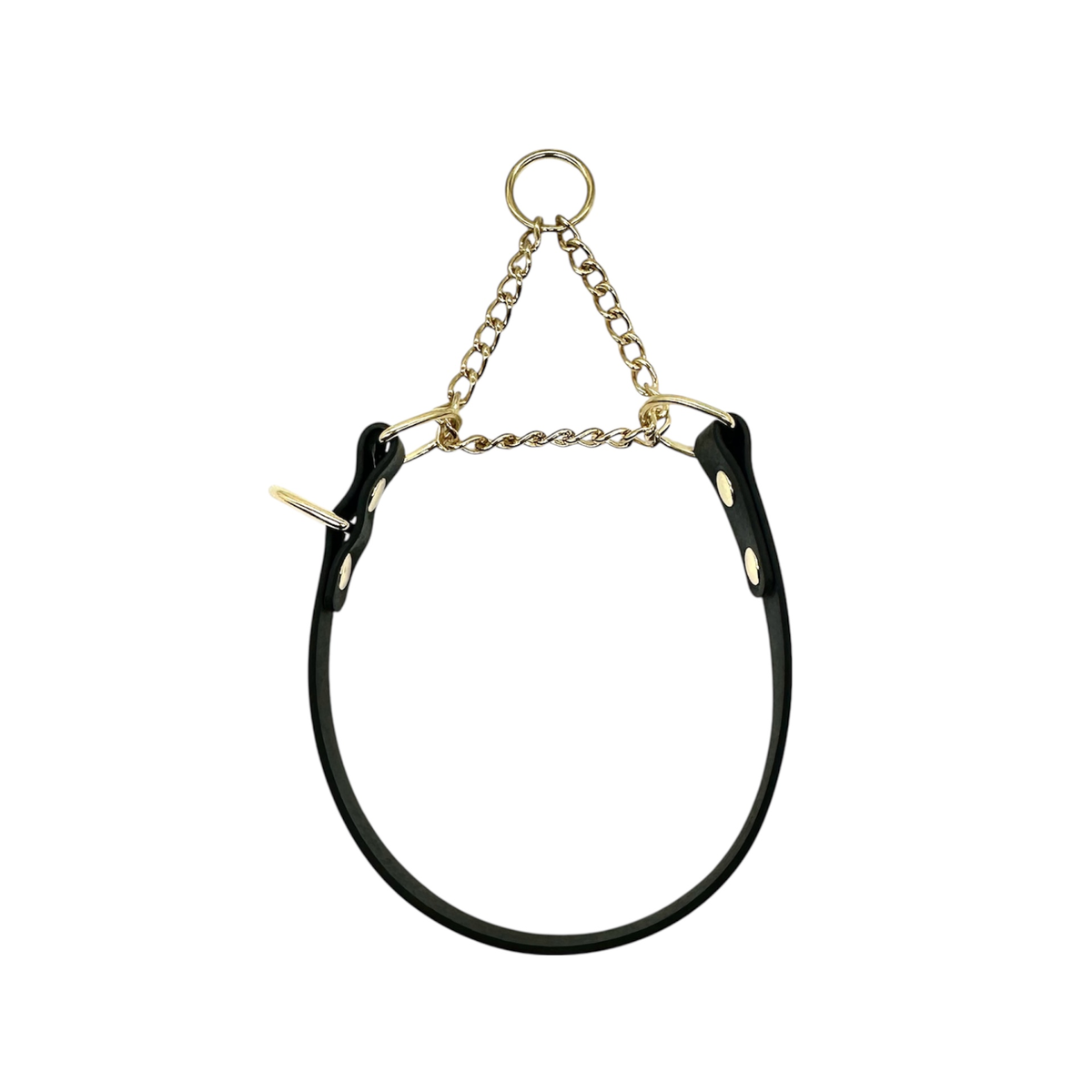 L&J Pets UK Martingale Dog Collar & Lead Set | Waterproof & Odour Proof | BioThane Webbing | Solid Brass Chain | Made in UK