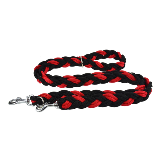 Dog Lead 