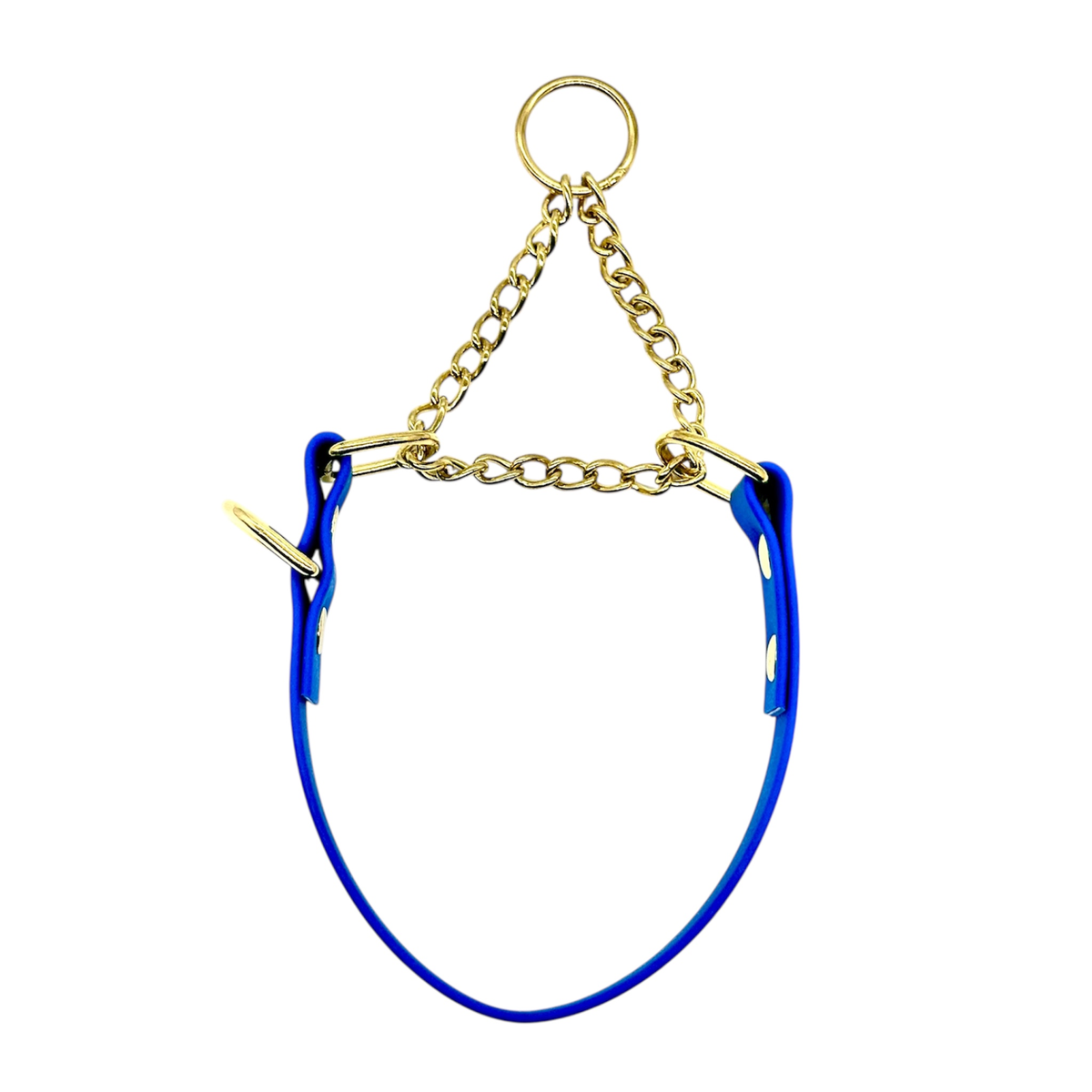 L&J Pets UK Martingale Dog Collar & Lead Set | Waterproof & Odour Proof | BioThane Webbing | Solid Brass Chain | Made in UK