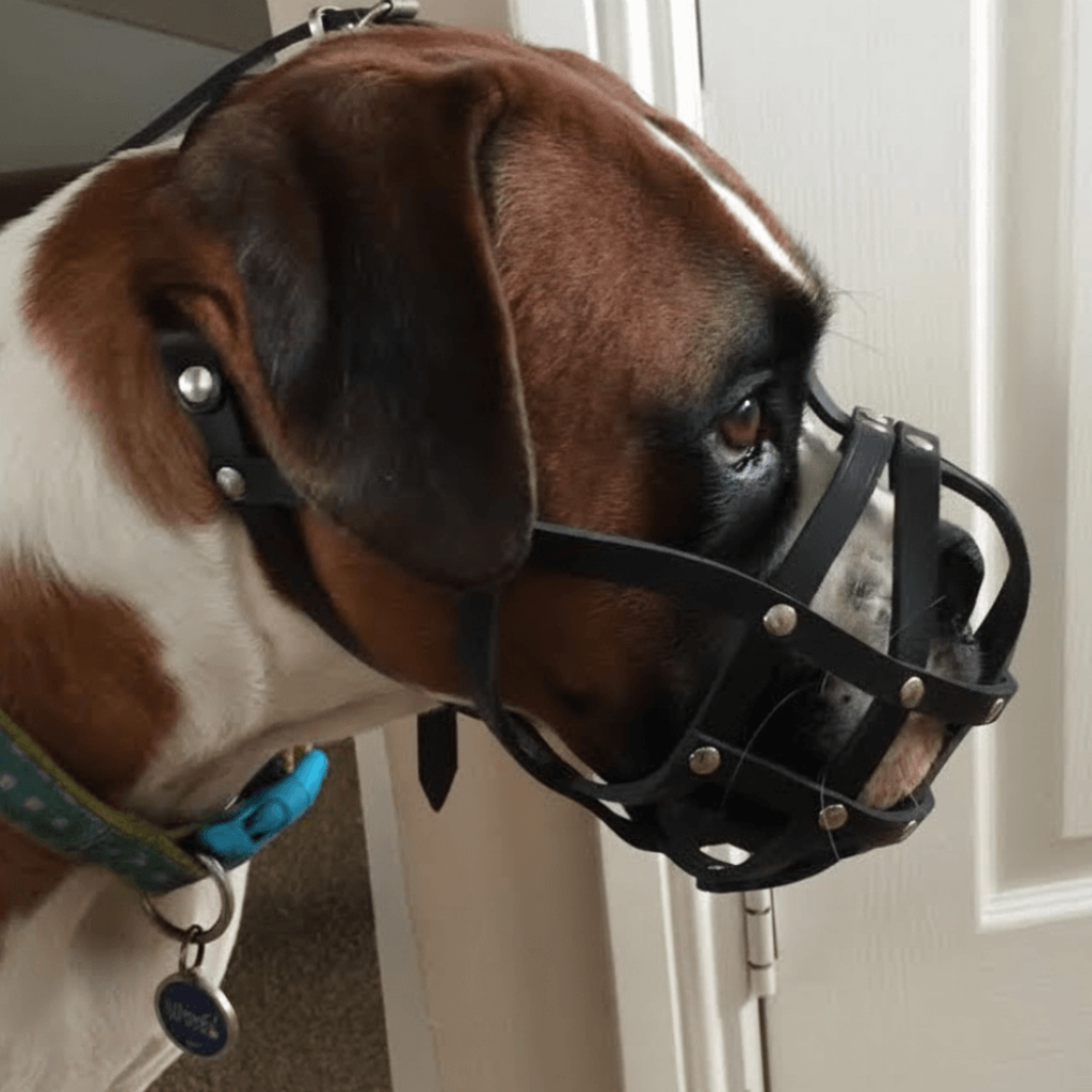 Leichter Leder-Hundemaulkorb für Boxer und ähnliche kurzschnäuzige Hunde | Hundemaulkorb aus echtem Leder