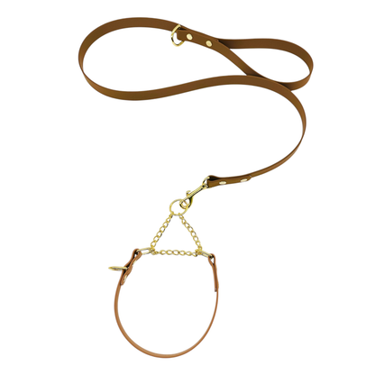 L&J Pets UK Martingale Dog Collar & Lead Set | Waterproof & Odour Proof | BioThane Webbing | Solid Brass Chain | Made in UK