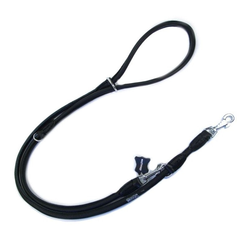 leather dog lead